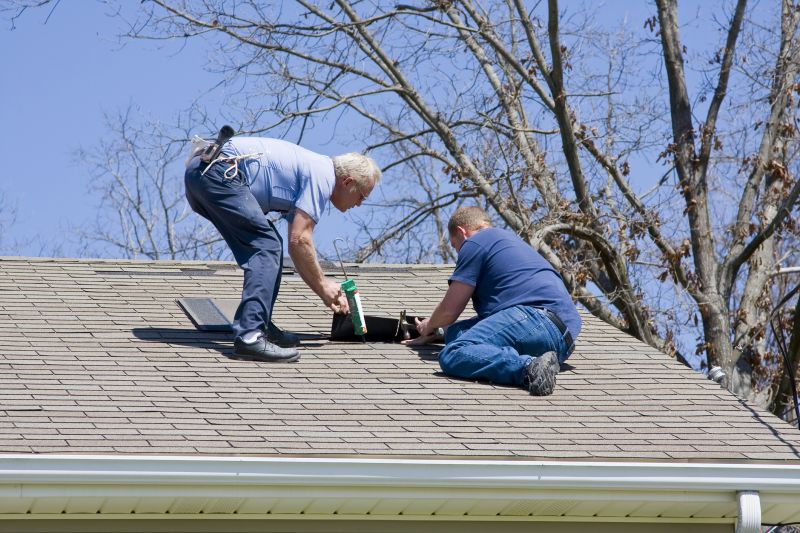 Roof Maintenance
